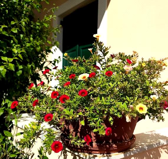 Twin House Spetses